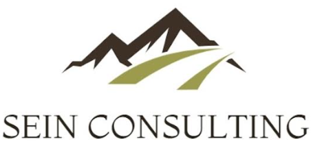 Sein Consulting