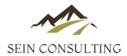 Sein Consulting Logo